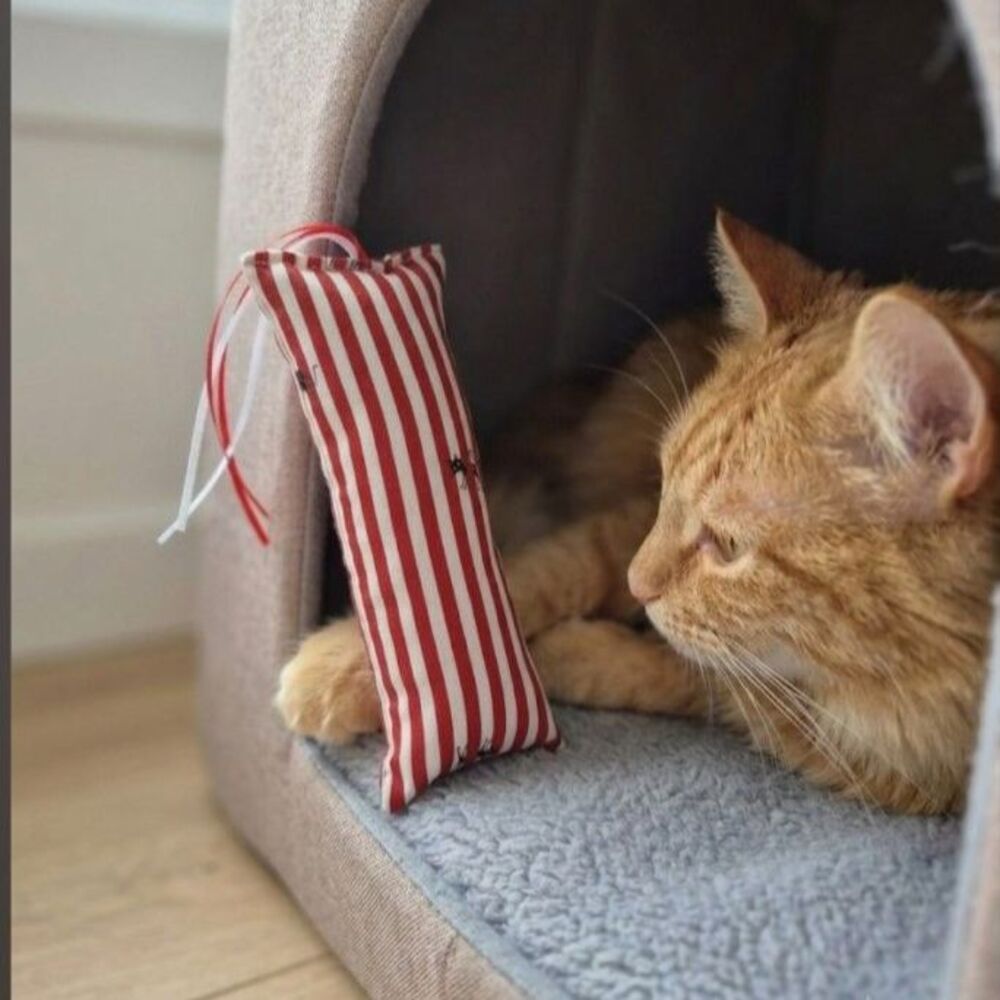 Red Striped Hidden Cat Kicker: Interactive Cat Toys for Boredom
